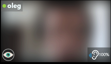 Frosted presence in MeetingGlass vs full exposure in Zoom/Discord